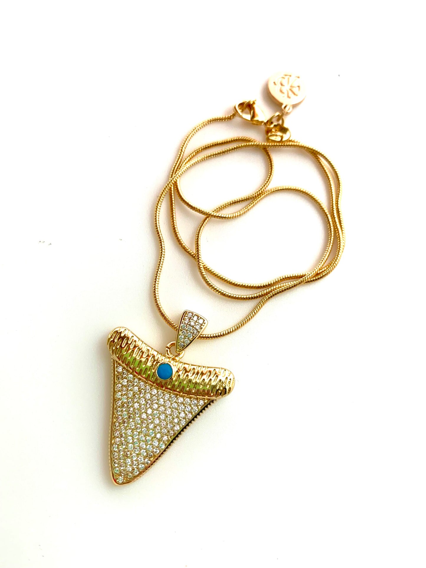 Sharks Tooth