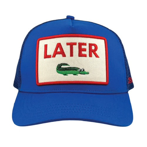 Later Gator